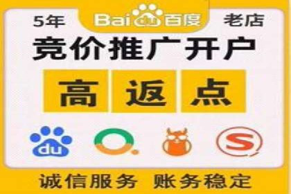 百度竞价包年推广效果：行业领先企业的成功之道